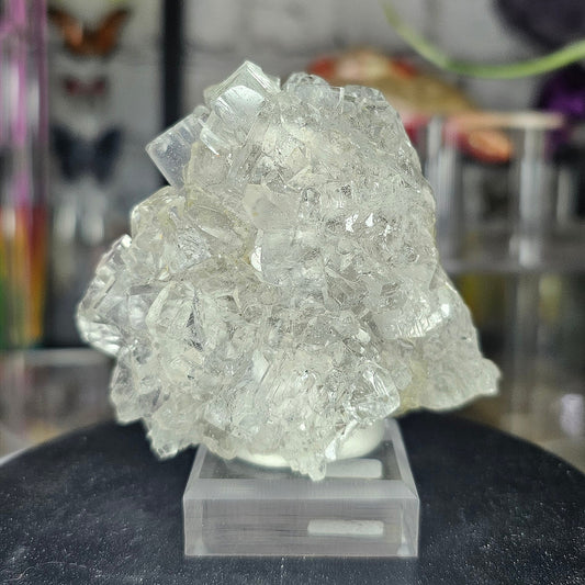 Fluorite Emilio