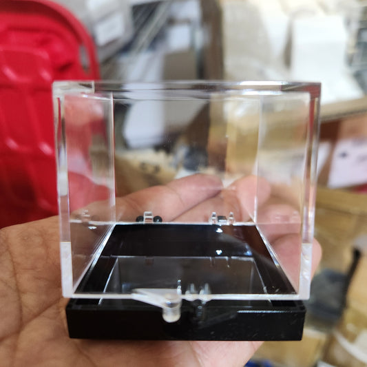 MINERAL DISPLAY BOX (MEDIUM) 2X2